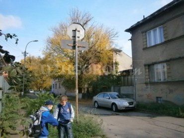 В Ужгороде тротуары быстро зарастают травой: никому не пройти