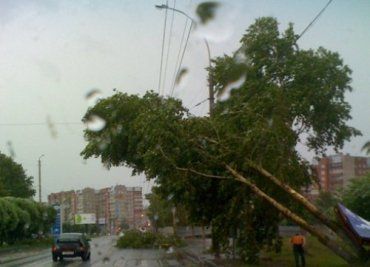 На Закарпатье непогода наделала беды в нескольких районах