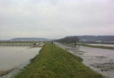 Жителей села Зариччя в Иршавском районе затопила талая вода