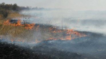 Сжигание листьев и травы опасно для здоровья закарпатцев!