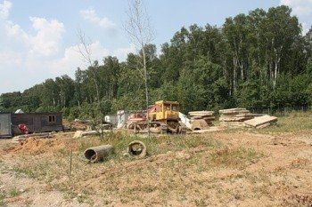 В Межгорском районе трактор переехал лесоруба насмерть