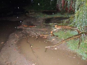 По городу Берегово прошелся мощный ураган: валило деревья