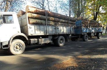 Иршавские правоохранители обнаружили расхитителей леса