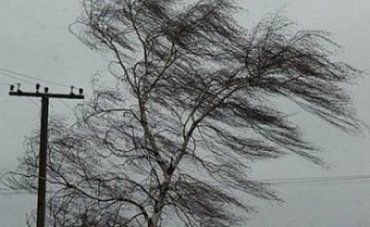 Шквальный ветр в Закарпатье оставил без света более десятка сел