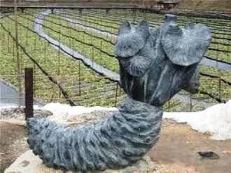 В Закарпатье еще не было памятника хрену