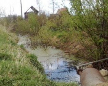 В Мукачево бывший зек убил мужчину и выкинул в канаву на перекрестке улиц