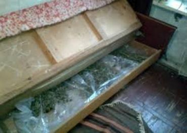 Мукачевец хранил марихуану под своим диваном, - и тут нашли