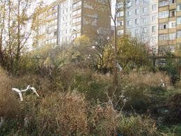 В Ужгороде масса участков зарастают кустарником и служат свалками мусора