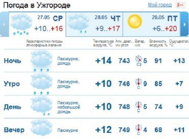 В первой половине дня в Ужгороде сильные дожди, местами грозы