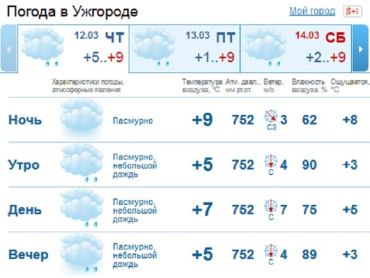 Мелкий дождь в Ужгороде будет идти весь день, а к вечеру может стать сильнее