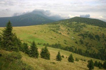 Карпатский биосферный заповедник известен не только в Украине, но и за рубежом