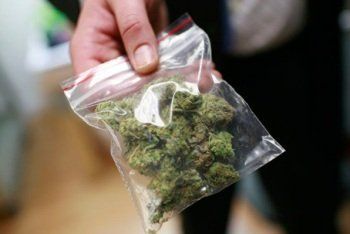 У 28-летнего безработного жителя Ужгорода обнаружили 50 грамм марихуаны