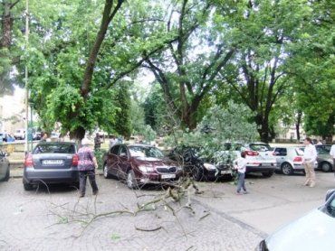 В Ужгороде на Крылова опасно парковать дорогие иномарки!