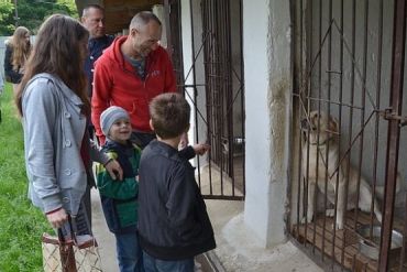 Дети-переселенцы посетили в Ужгороде кинологический центр