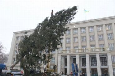 В Ужгород привезли новогоднюю елку из Межгорского района