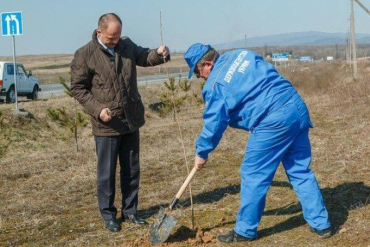 Губернатор Закарпатья Василий Губаль призвал всех закарпатцев сажать деревья