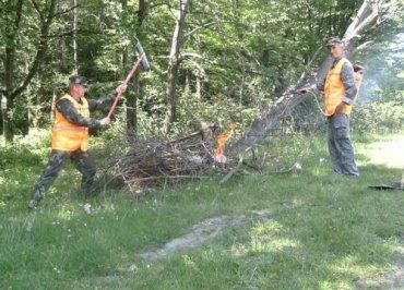 Виноградовский район: спасатели учились тушить лесные пожары