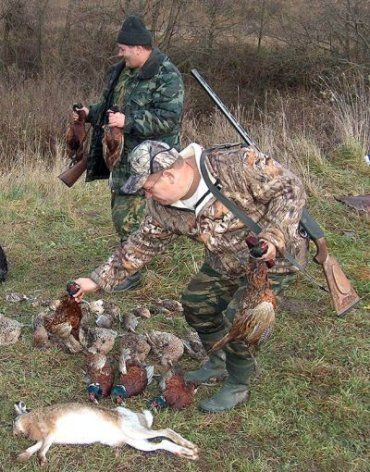 В Закарпатской области начинается сезон охоты на фазанов и куропаток