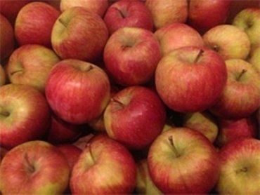 В "Дасторе" продают сторожницкие яблоки по африканской цене