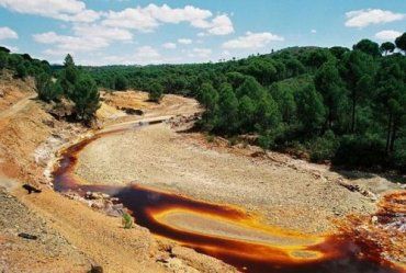 Вода в реке Турья совершенно случайно изменила окраску