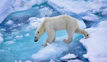 Штучне замороження Арктики, про це заявили вчені