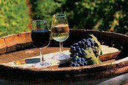 Украинские виноделы считают необходимым введение минимальных цен на вино.
