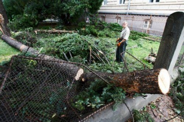 В Ужгороде жертвами мощного урагана стали деревья и крыши