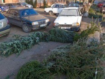 Ужгородский рынок переполнен никому ненужными новогодними елками