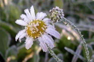 В Закарпатье ожидается похолодание с ночными заморозками