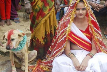 В Индии 18-летняя Мангли Мунда вышла замуж за бездомную собаку