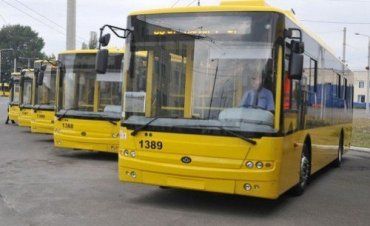 Ужгородцы хотят ездить на нормальных человеческих автобусах