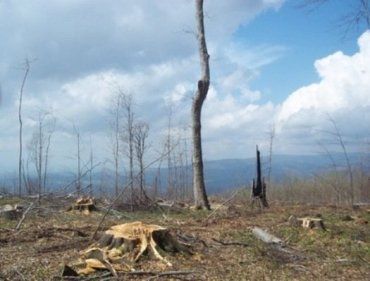 Инопланетянин Игорь Физик не знает, что творится в лесах Закарпатья