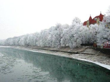 Зима в Ужгород все-таки пришла: деревья покрылись инеем, а река - тонким льдом