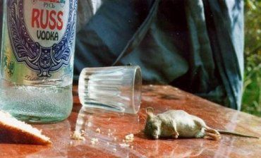 В Чопе милиция закрывает глаза на левую водку в барах и кафе