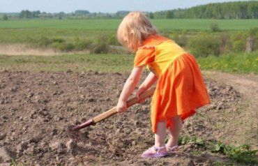 Прокуроры Закарпатья выявили нарушения трудовых прав детей