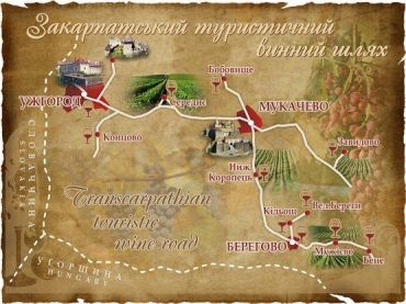 В Ужгороде поговорят об украинско-словацком винном туристическом маршруте