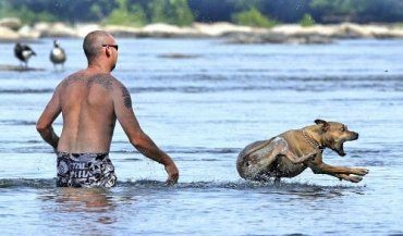 В некоторых реках Закарпатья даже собаке вода по колено