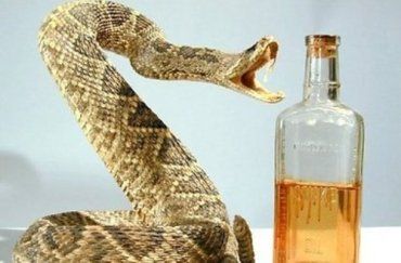На китаянку напала змея, запечатанная в бутылке с алкоголем