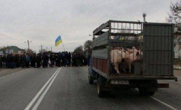 В акции на трассе Киев-Чоп приняли участие несколько сотен фермеров