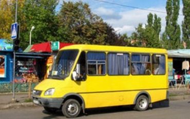 Сейчас город Ужгород обслуживают 184 единицы транспорта