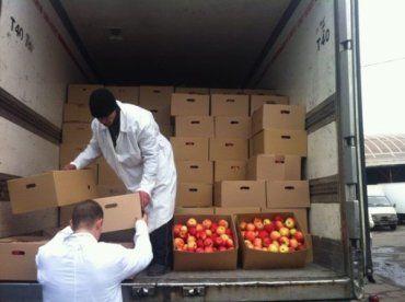 Польские предприниматели хотят угостить яблоками детей в Калининграде