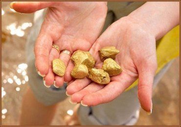 Из всех областей в Закарпатье - самые большие запасы золота