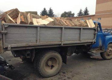 В Мукачево задержали грузовик с древесиной без документов