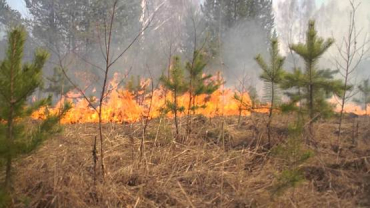 На большей части территории Закарпатья высокая пожарная опасность