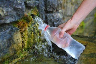 Закарпатские минеральные воды исчезнут с рынка лечебно-столовых вод
