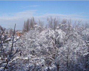В Ужгороде на выходные выпал снег