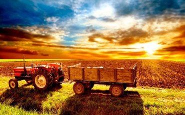 Закарпатье заняло последнее место в рейтинге "Сельское хозяйство"