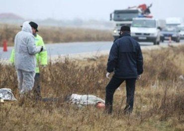 На трассе обнаружили погибшего жителя Мукачевского района