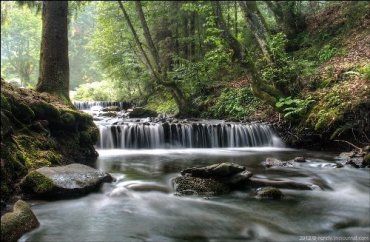 Вырублен приватизированный лесной участок у водопада Шипот