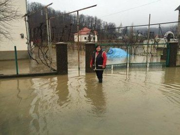 Декабрьский паводок в Закарпатье